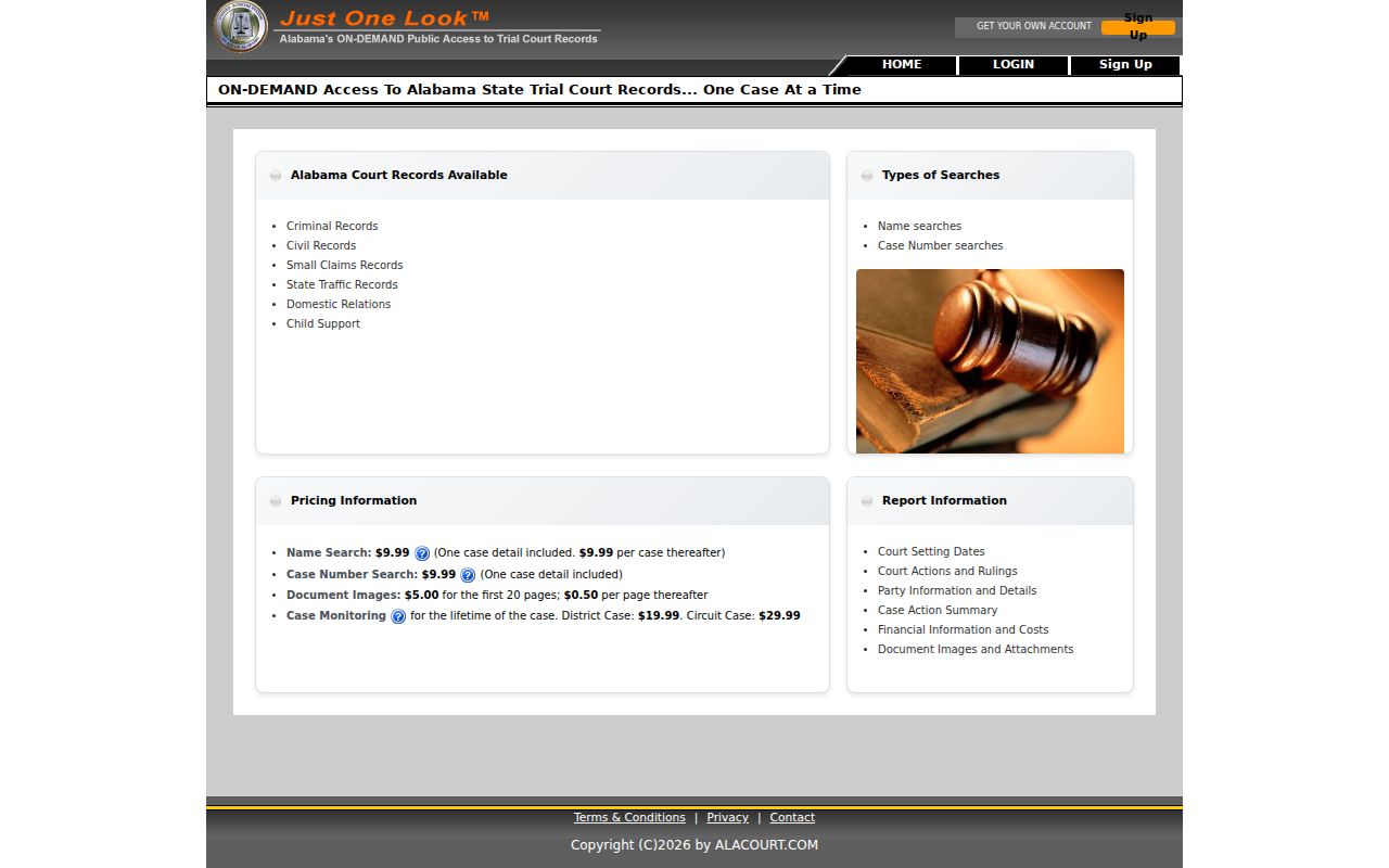 Just One Look name and case number options for a Randolph County docket search